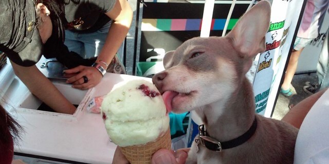 Los perros ya pueden disfrutar de un helado en Don Paletto (Foto: Facebook Don Paletto).