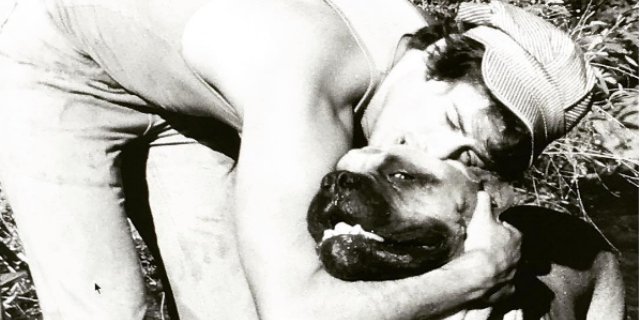 Stallone, junto a su perro Butkus (Foto: Perfil oficial de Sylvester Stallone en Instagram).
