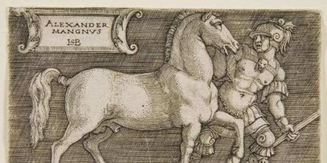 Bucéfalo, el caballo de Alejandro Magno