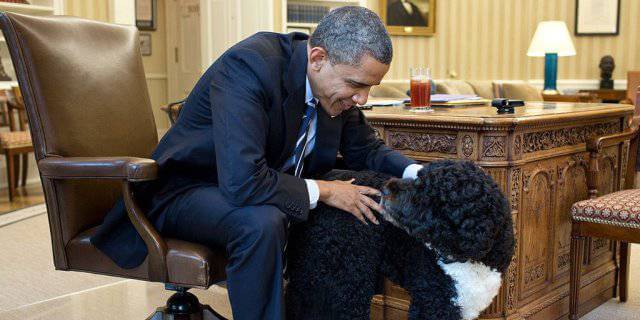 Obama en la Casa Blanca acariciando a su perro Bo.