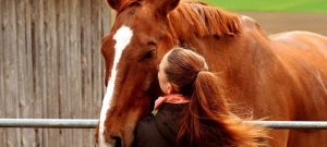 Los cuidados básicos que debe tener un caballo.