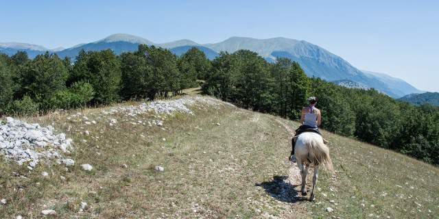 Jinete y su caballo paseando en unn camino cerca de unas colinas.