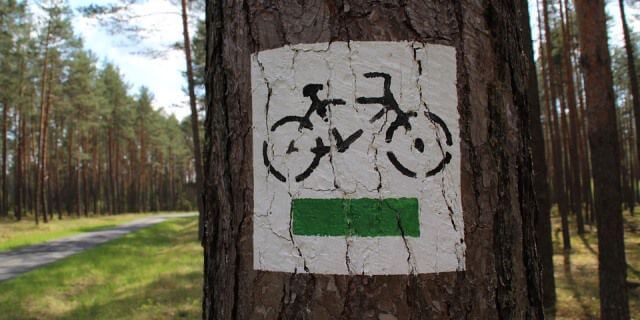 Una de las rutas en bici señalizada en un árbol.