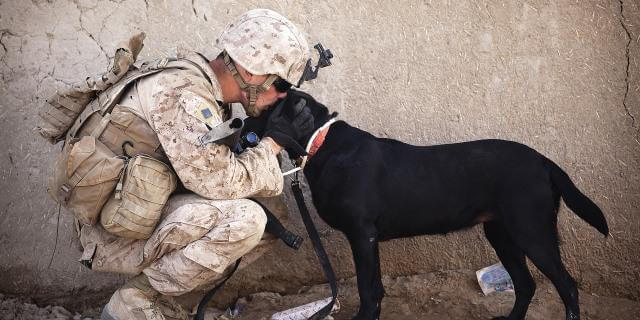 Militar y su perro