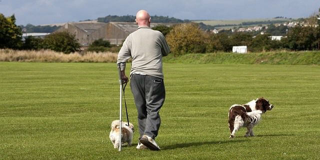 Persona discapacitada camina junto a sus perros