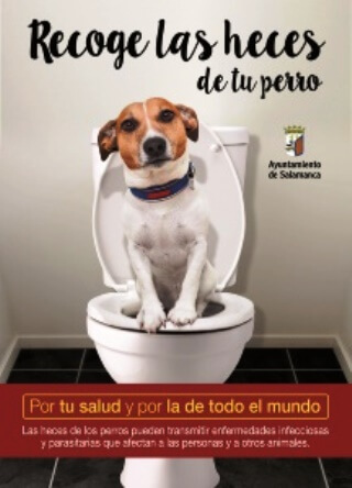 Cartel de la Campaña "Por tu salud y por la de todo el mundo"