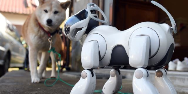 imagen de un perro robot