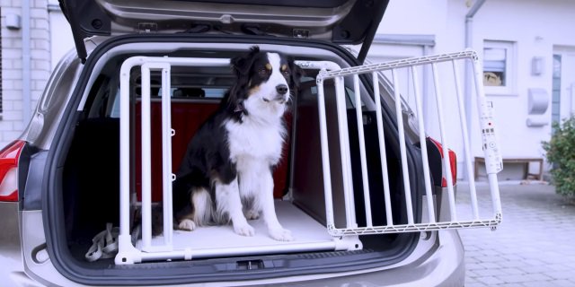 Imagen del anuncio de Ford en el que un perro viaja en el coche.