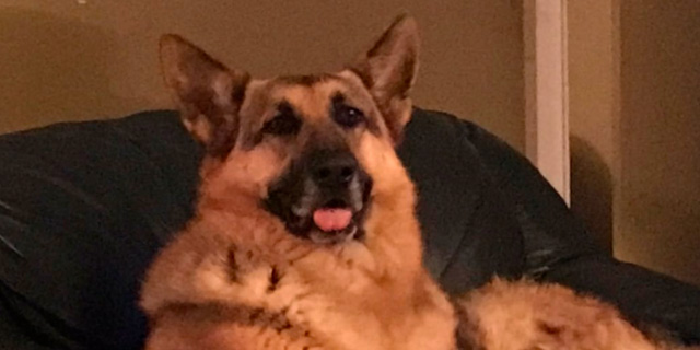 GRETCHEN