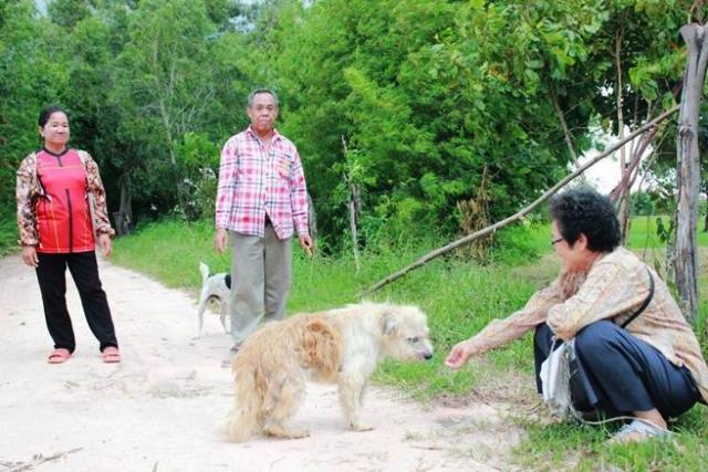 LA FAMILIA DEL PERRO LEO