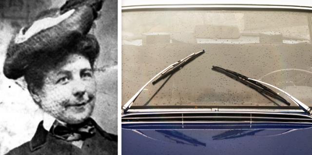 MARY ANDERSON Y EL LIMPIAPARABRISAS