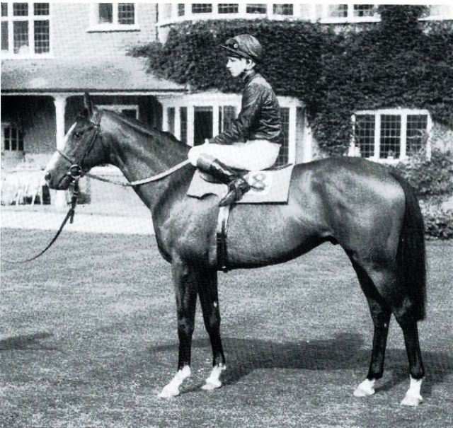 foto en blanco y negro caballo Shergar
