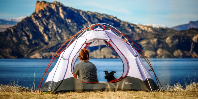 camping con perro