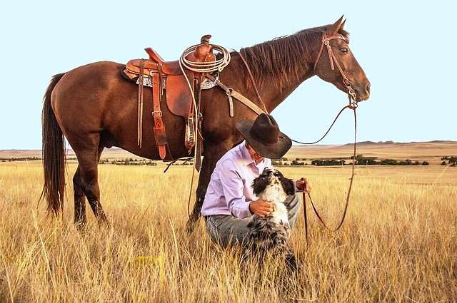 montar a caballo con perro