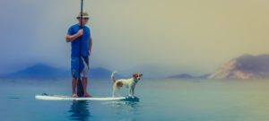 Paddle Surf con perro