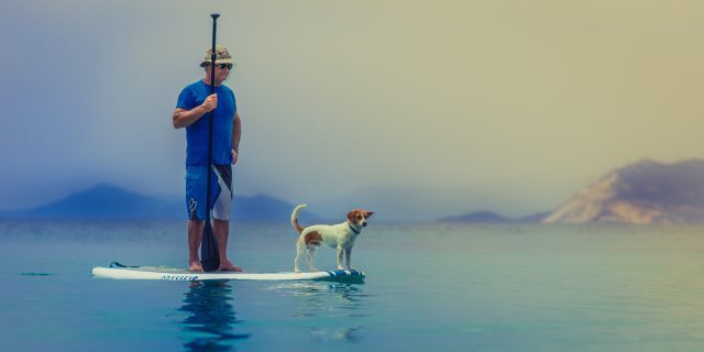 Paddle Surf con perro