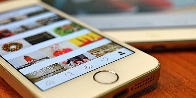 denunciar caso de maltrato animal en redes sociales