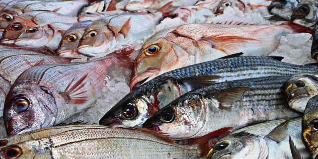 pescado
