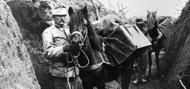 caballo en la Primera Guerra Mundial