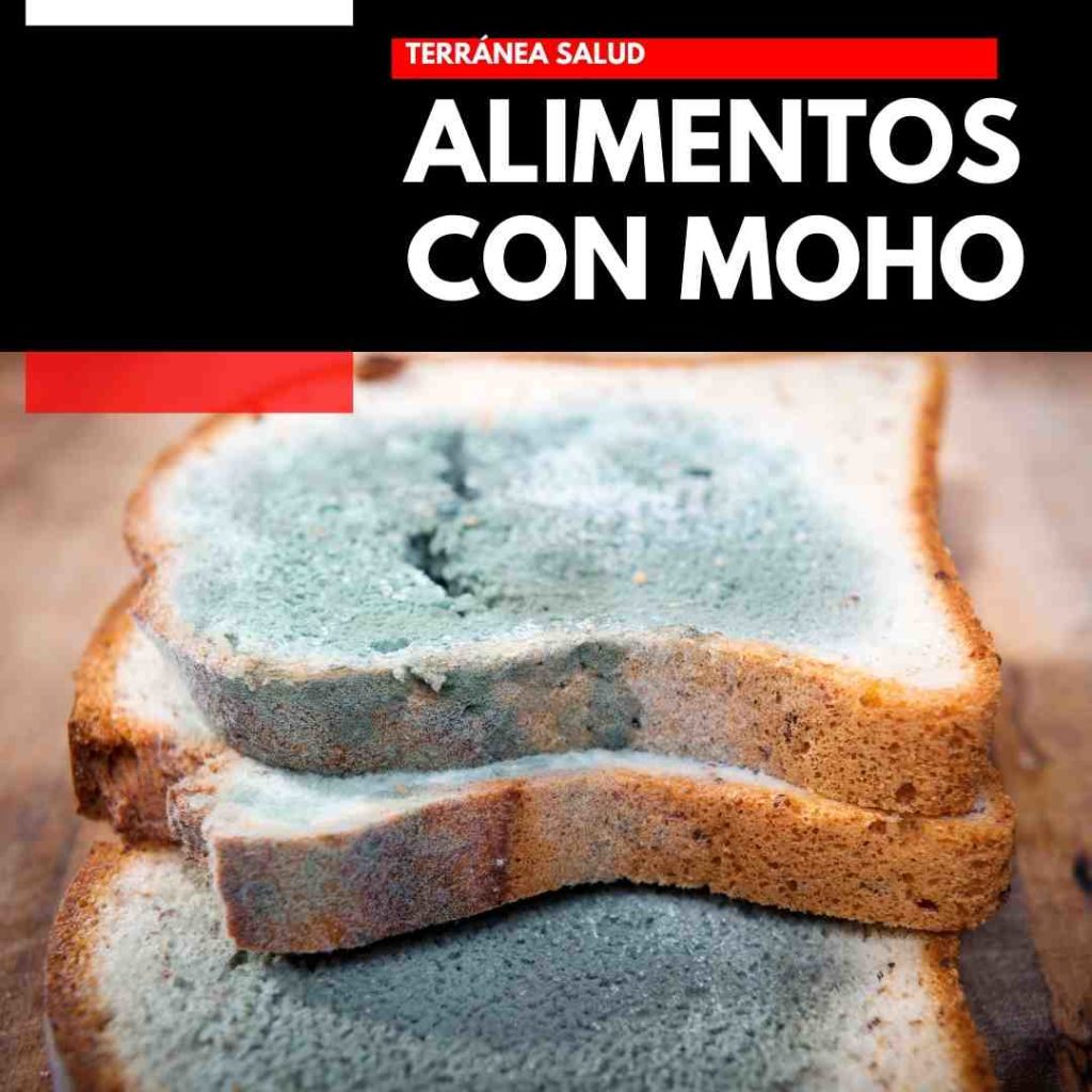 se puede comer un alimento con moho