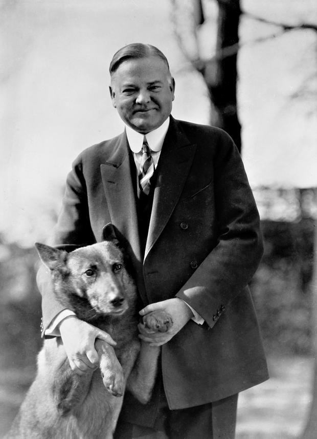 King Tut perro de Herbert Hoover