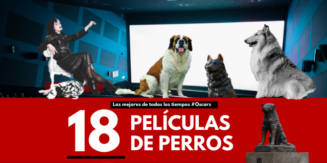 Películas de perros, las 18 mejores de todos los tiempos | Blog de Terránea