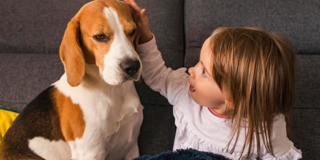 beneficios de tener perro para niños