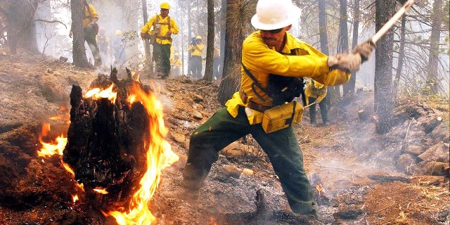 bomberos forestales
