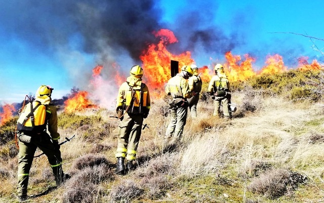 bomberos forestales