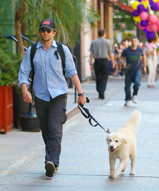 Bradley Cooper y su perro