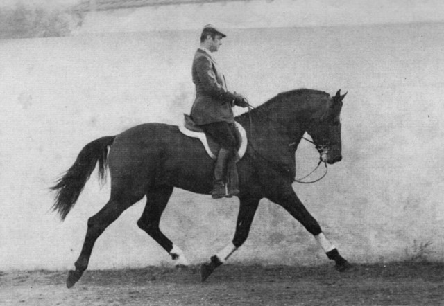 Nuno Oliveira maestro de la equitación