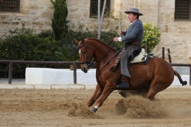 Actividades de Cabalcor 2022