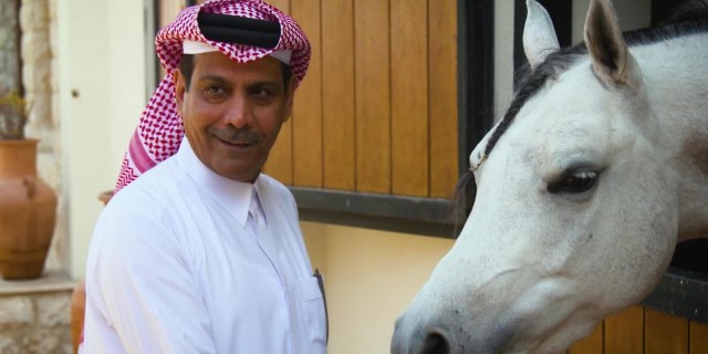 negocio de los caballos en Qatar