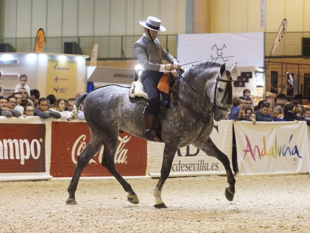 mejores caballos SICAB