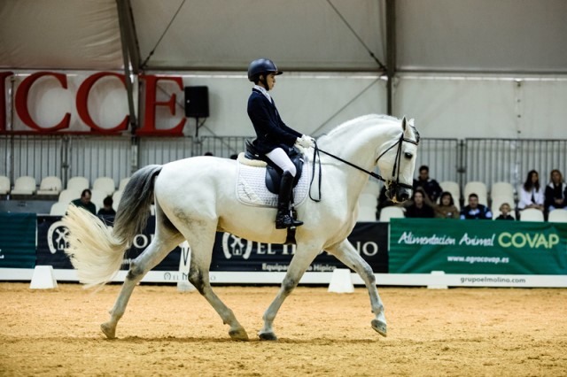 caballos PRE en Sevilla SICAB