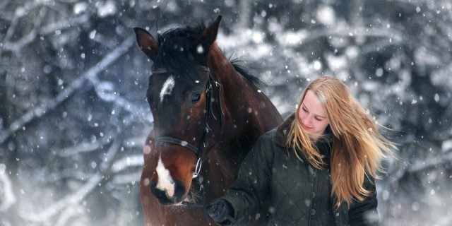 cuidar a un caballo del frío en invierno