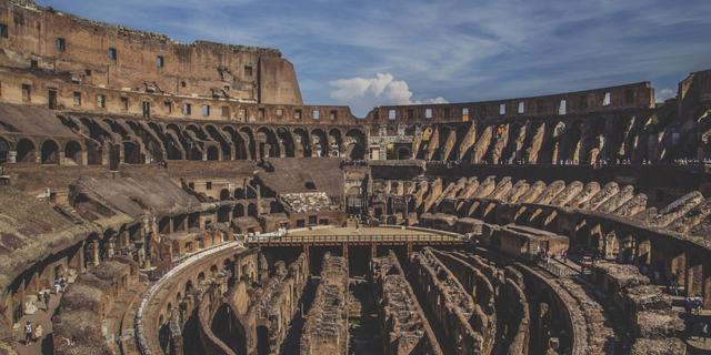 restos de perro salchicha en el Coliseo de Roma
