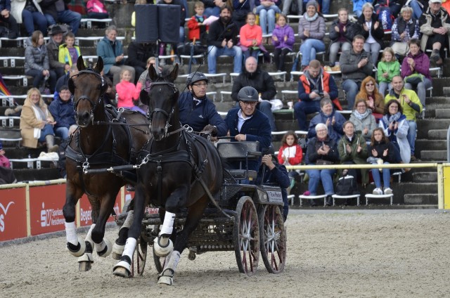 prueba de enganche en caballos
