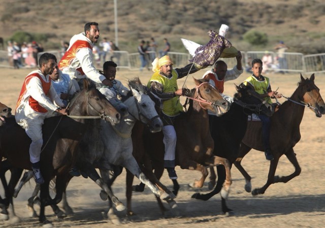 Caballos en el Mata Moussen