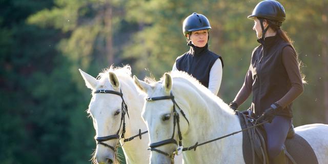 comprar o vender caballos