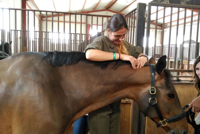 fisioterapia con caballos