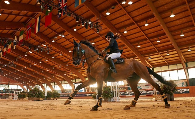 Caballos en la prueba de Longines