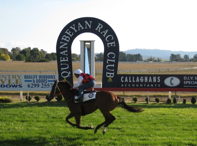Historia del caballo purasangre Takeover Target