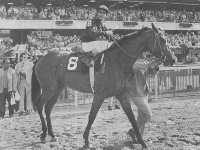 Historia del caballo Cañonero
