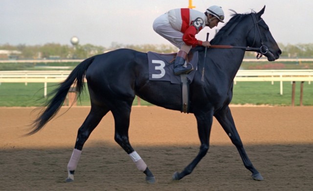 Ruffian corazón intrépido