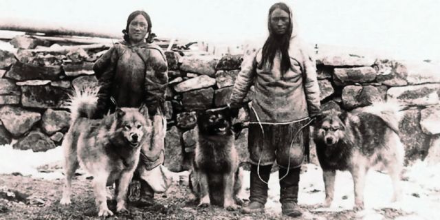 origen del malamute