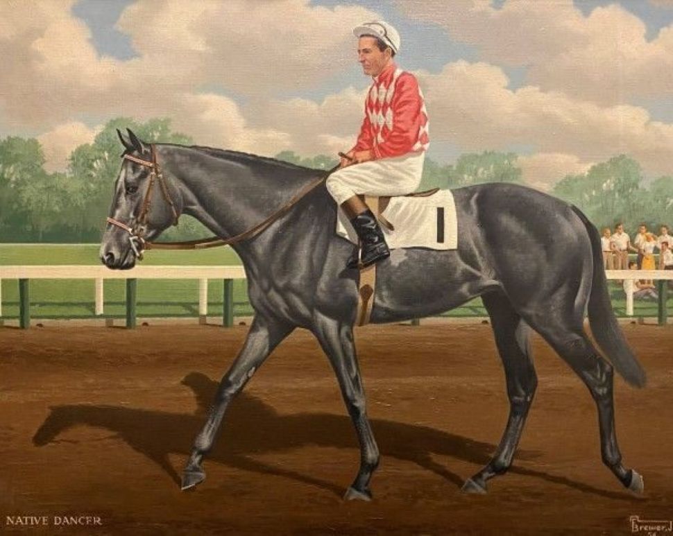 Native Dancer caballo tordo