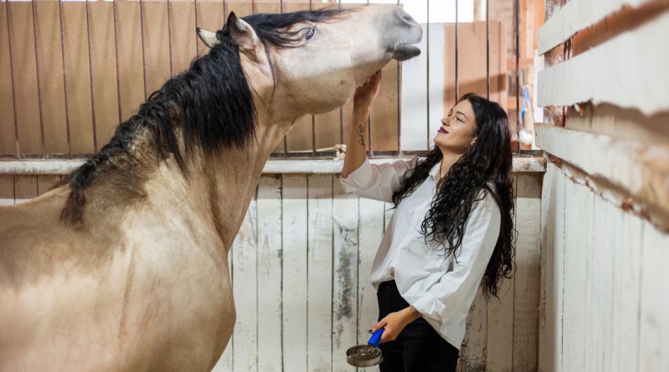 Mujer acariciando y revisando a un caballo dentro de una cuadra