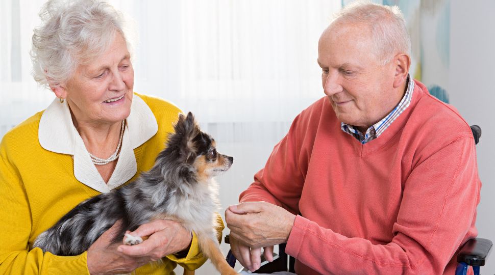 Pareja de personas mayores con un perro pequeño en brazos