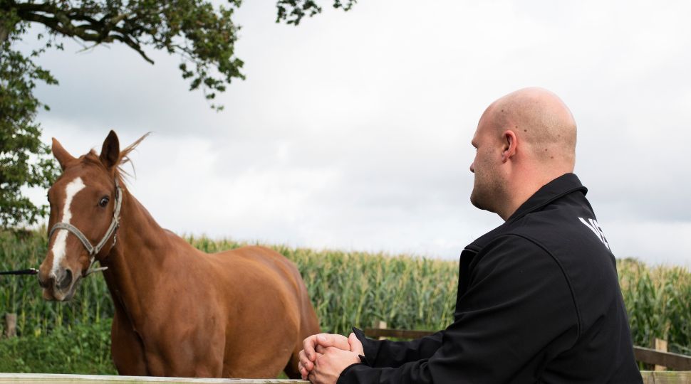 Profesional observando a un caballo durante una evaluación